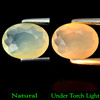Unheated 1.62 Ct. Oval Shape Natural Multi Color Opal Gem