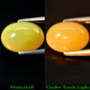 2.64 Ct. Oval Cabochon Natural Multi Color Opal