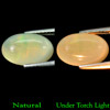 3.08 Ct. Oval Cabochon Natural Multi Color Opal Sudan