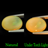 2.12 Ct. Oval Cabochon Natural Multi Color Opal