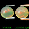 0.77 Ct. 6.5 Mm Natural Multi Color Opal Sudan Unheated