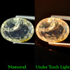 Unheated 3.16 Ct. Oval Natural Multi Color Opal Sudan Unheated 3.16 Ct. Oval Natural Multi Color Opal Sudan