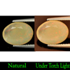2.22 Ct. Oval Natural Multi Color Opal Unheated