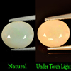 1.59 Ct. Oval Natural Multi-Color Play Of Colour Opal Unheated