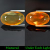 11.21 Ct. Oval Shape Natural Multi Color Opal Unheated