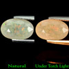 1.09 Ct. Oval Natural Multi Color Opal Unheated