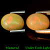 1.07 Ct. Oval Cabochon Natural Multi Color Opal Ethiopia