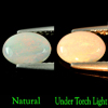 0.51 Ct. Oval Cabochon Natural Multi Color Opal Sudan