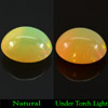 2.57 Ct. Oval Cabochon Natural Multi-Color Play Of Colour Opal Unheated 2.57 Ct. Oval Cabochon Natural Multi-Color Play Of Colour Opal Unheated