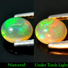 0.61 Ct. Oval Cabochon Natural Multi Color Opal Gem