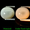 3.38 Ct. Oval Cabochon Natural White Opal Gem Unheated 3.38 Ct. Oval Cabochon Natural White Opal Gem Unheated