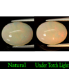 6.09 Ct. Oval Cabochon Natural Multi-Color Flashing Play Of Colour OPAL