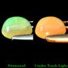 0.53 Ct Oval Cabochon Natural Multi Color Opal Unheated