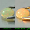 Unheated 0.97 Ct Oval Cabochon Natural Multi Color Opal