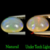 Multi-Color Play Of Colour Opal 1.02 Ct. Oval Cabochon 8.2 x 6.5 Mm. Natural Gem