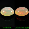 Unheated 2.53 Ct. Natural Multi - Color Play Of Colour Opal Oval Cab