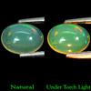 Unheated 1.07 Ct. Natural Multi-Color Play Of Colour Opal Oval Cabochon