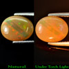 1.43 Ct. Natural Gem Multi - Color Play Of Colour Opal Oval Cab