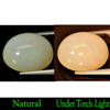 8.03 Ct. Oval Cabochon Natural Multi-Color Play Of Colour Opal