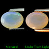 Unheated 0.73 Ct. Natural Multi-Color Play Of Colour Opal Oval Cut