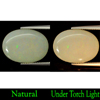 5.10 Ct. Oval Cabochon Natural Multi-Color Play Of Colour Opal