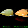 2.81 Ct. Pear Cabochon Natural Multi-Color Play Of Colour Opal Unheated