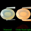 0.99 Ct. Natural Multi-Color Play Of Colour Opal Oval Shape