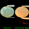 0.76 Ct. Oval Shape Natural Gemstone Multi-Color Play Of Colour Opal Unheated 0.76 Ct. Oval Shape Natural Gemstone Multi-Color Play Of Colour Opal Unheated