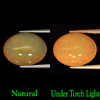 Natural 7.99 Ct. Multi-Color Play Of Colour Opal Oval Cabochon Unheated Natural 7.99 Ct. Multi-Color Play Of Colour Opal Oval Cabochon Unheated