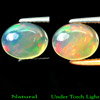 Natural 1.47 Ct. Oval Cab Multi-Color Play Of Colour Opal