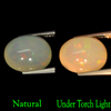 Unheated 5.37 Ct. Natural Rainbow Play Of Colour Opal Oval Cab