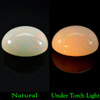3.72 Ct. Oval Cabochon Natural Rainbow Play Of Colour Opal Unheated