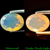 Unheated 1.06 Ct. Oval Shape Natural Gem Rainbow Play Of Colour Opal