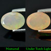 Unheated 0.69 Ct. Oval Shape Natural Gemstone Rainbow Play Of Colour Opal