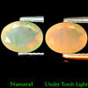0.73 Ct. Oval Shape Natural Multi - Color Play Of Colour Opal Unheated