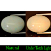 12.46 Ct. Natural Rainbow Play Of Colour Opal Gem Oval Cabochon Unheated