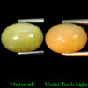 Oval Cabochon 4.98 Ct. Natural Rainbow Play Of Colour Opal Unheated
