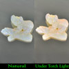 Multi-Color Play Of Colour Opal 10.87 Ct Panda Carving 25 x 18.9 Mm Natural Gem Multi-Color Play Of Colour Opal 10.87 Ct Panda Carving 25 x 18.9 Mm Natural Gem