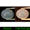 2.03 Ct. Natural Multi-Color Play Of Colour Opal Oval Cabochon 2.03 Ct. Natural Multi-Color Play Of Colour Opal Oval Cabochon