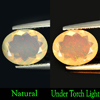 Multi Color Play Of Colour Opal 1.07 Ct. Oval 9.1 x 7.1 Mm. Natural Gem Unheated Multi Color Play Of Colour Opal 1.07 Ct. Oval 9.1 x 7.1 Mm. Natural Gem Unheated