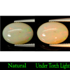2.52 Ct. Vivid Oval Cabochon Natural Multi Color Play Of Colour Opal Unheated