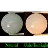 Unheated 5.82 Ct. Round Cabochon Natural Multi Color Play Of Color Opal