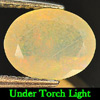 Unheated 0.99 Ct. Oval Natural Multi Color Play Of Colour Opal Unheated 0.99 Ct. Oval Natural Multi Color Play Of Colour Opal