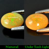 0.81 Ct. Oval Cabochon Natural Multi - Color Play Of Colour Opal Unheated 0.81 Ct. Oval Cabochon Natural Multi - Color Play Of Colour Opal Unheated
