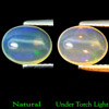 1.00 Ct. Natural Gem Oval Cabochon Multi-Color Play Of Colour Opal Unheated