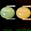 2.46 Ct. Oval Cabochon Natural Gem Multi-Color Play Of Colour Opal Unheated 2.46 Ct. Oval Cabochon Natural Gem Multi-Color Play Of Colour Opal Unheated