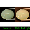 Charming Gem 2.87 Ct. Natural Oval Cabochon Multi-Color Play Of Colour Opal Charming Gem 2.87 Ct. Natural Oval Cabochon Multi-Color Play Of Colour Opal