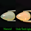 2.68 Ct. Pear Cabochon Natural Gem Multi-Color Play Of Colour Opal Unheated