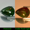 Multi-Color Play Of Colour Opal 2.61 Ct. Pear Cabochon 12.5 x 9.5 Mm Natural Gem