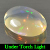 1.19 Ct. Alluring Oval Cabochon Natural Multi-Color Play Of Colour Opal